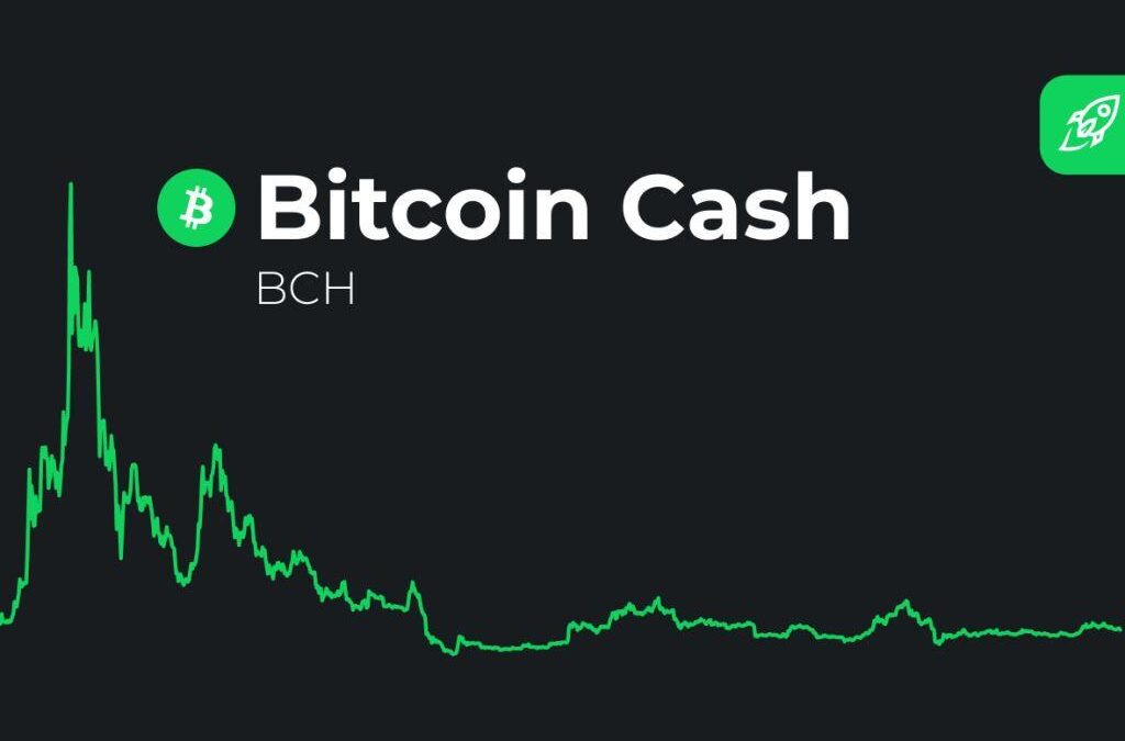 Bitcoin Cash (BCH) Price Estimate Q4 : Boom or Bust?